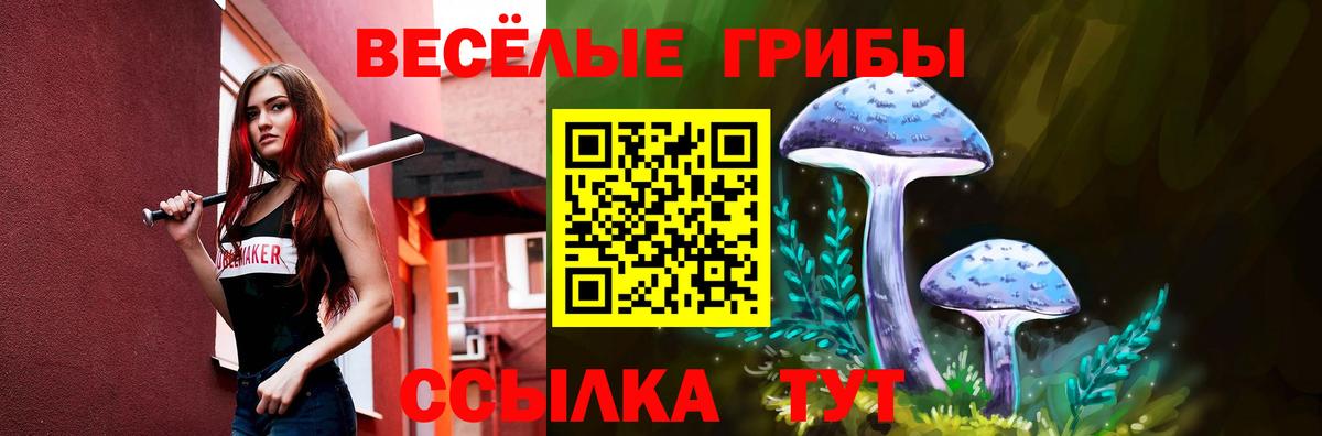 купить  сайты  Псилоцибиновые грибы MAGIC MUSHROOMS  Вход с VPN  Псилоцибиновые грибы Cubensis  Волгодонск 